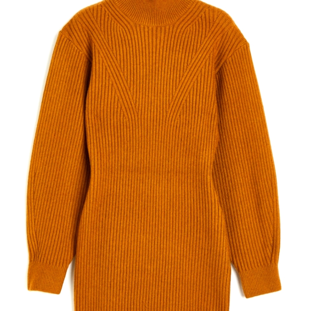 NWT H&M Mock Turtleneck Dress